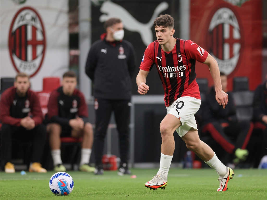 有所建树 有所建树